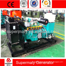 Hot sale ! 60kva natural gas generator with Cummins engine